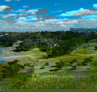 Hawkstowe Picnic Area - Accommodation Newcastle