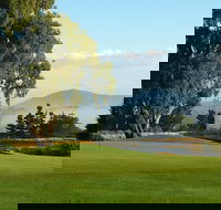 Kangaroo Tours at Gisborne Golf Club Inc - Accommodation Newcastle