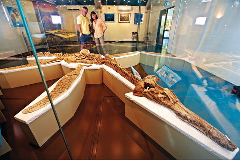 Kronosaurus Korner - Accommodation Newcastle 1