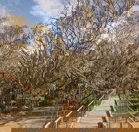 Lachlan River Swing Bridge - Accommodation Newcastle