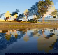 Lake Cargelligo - Accommodation Newcastle