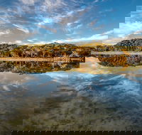 Lashmar Conservation Park - Accommodation Newcastle