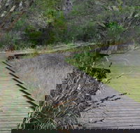 Leschenault Peninsula Conservation Park - Accommodation Newcastle