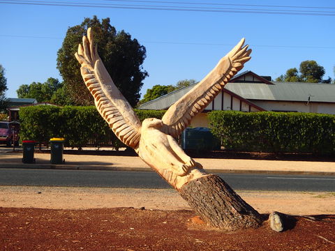 Loxton Tree Sculptures - Accommodation Newcastle 0