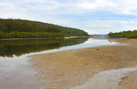 Mangrove Walk - Accommodation Newcastle 0