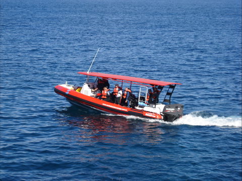 Merimbula Divers Lodge - Accommodation Newcastle 1