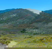 Monument Hill Walking Track