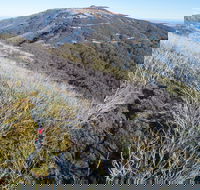Mt Buller Bike Park - Accommodation Newcastle