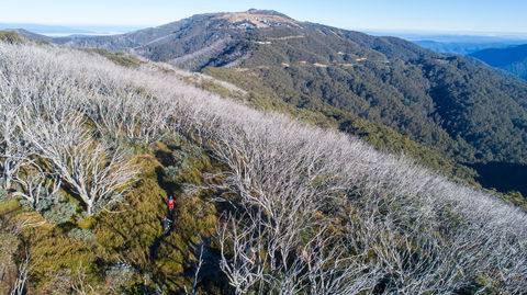 Mt Buller Bike Park - Accommodation Newcastle 0