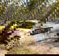 Murray Valley Regional Park - Accommodation Newcastle