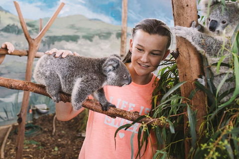 Oakvale Wildlife Park - Accommodation Newcastle 0