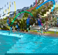 Oaklands War Memorial Swimming Pool - Accommodation Newcastle