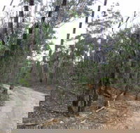 Paddys Ranges State Park - Accommodation Newcastle