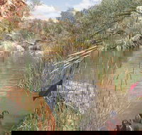 Palm Springs - Accommodation Newcastle