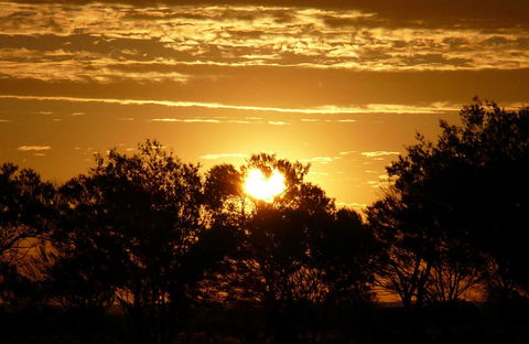 Paroo-Darling National Park - Accommodation Newcastle 0