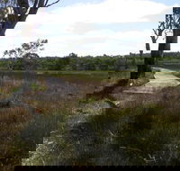 Penola Conservation Park - Accommodation Newcastle