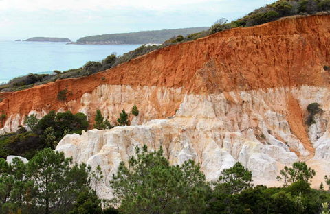 Pinnacles Loop Walking Track - Accommodation Newcastle 0