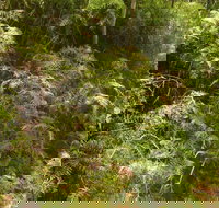 Powder Magazine walking track - Accommodation Newcastle