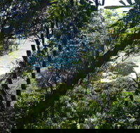 Rainforest Walking Track Hat Head National Park - Accommodation Newcastle