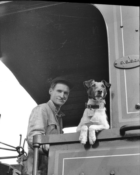 Railway Temora - Accommodation Newcastle 0