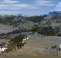 Rosebrook - Accommodation Newcastle