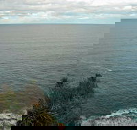 Snapper Point Lookout - Accommodation Newcastle