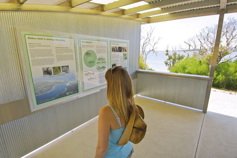 Stokes National Park - Accommodation Newcastle 1