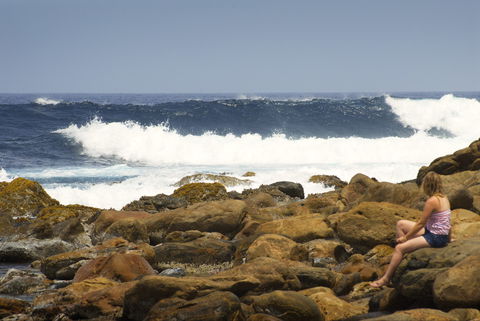 Stokes National Park - Accommodation Newcastle 2
