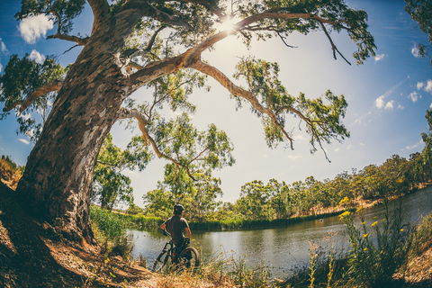 Sturt Gorge Recreation Park - Accommodation Newcastle 0