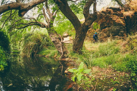 Sturt Gorge Recreation Park - Accommodation Newcastle 1