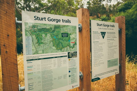 Sturt Gorge Recreation Park - Accommodation Newcastle 2