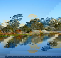 The Gums - Accommodation Newcastle