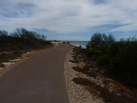 Turquoise Way Trail, Jurien Bay - Accommodation Newcastle 0
