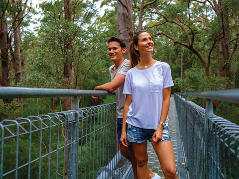 Valley Of The Giants Tree Top Walk - Accommodation Newcastle 0