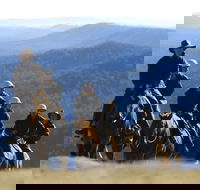 Victoria's High Country - Accommodation Newcastle
