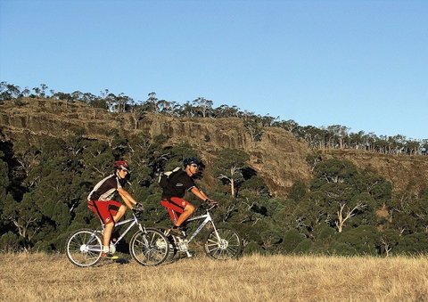 Victoria's High Country - Accommodation Newcastle 2