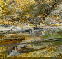 Warrabah National Park - Accommodation Newcastle