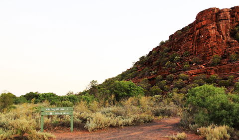 Whyalla Conservation Park - Accommodation Newcastle 0