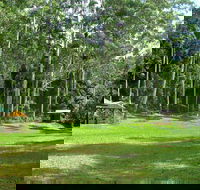 Woolgoolga Creek Picnic Area - Accommodation Newcastle