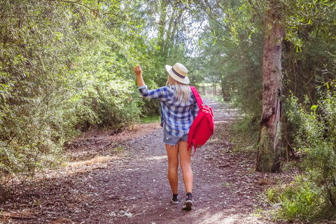 Yea Wetlands Walk - Accommodation Newcastle 2