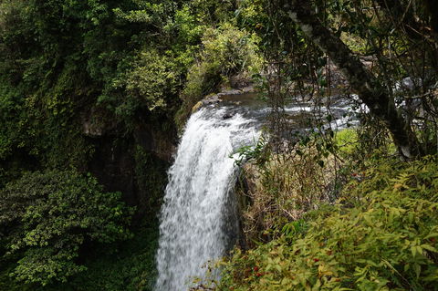Zillie Falls - Accommodation Newcastle 0