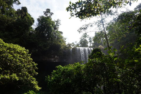 Zillie Falls - Accommodation Newcastle 1