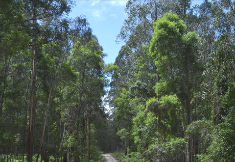 Alfred National Park - Accommodation Newcastle 1