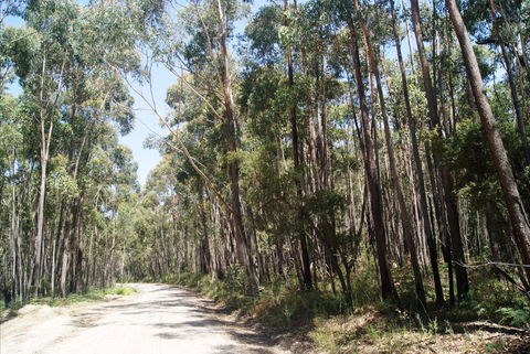 Alfred National Park - Accommodation Newcastle 2