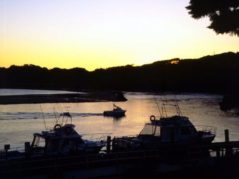 Apex Park Picnic Area Narooma - Accommodation Newcastle 2