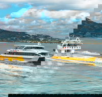 Apex Camps Magnetic Island Group Accommodation Activities and Events - Accommodation Newcastle