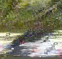 Berry Springs - Accommodation Newcastle