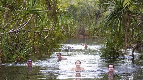 Berry Springs - Accommodation Newcastle 0