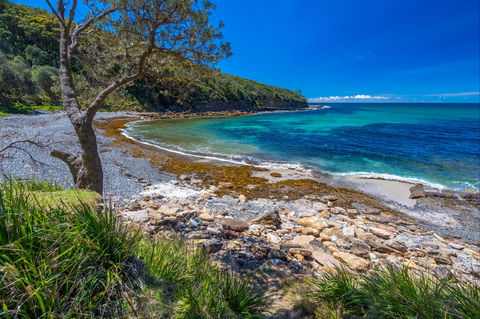 Burns Bay - Accommodation Newcastle 0
