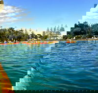 Byron Bay River Nature Kayak Tour - Accommodation Newcastle